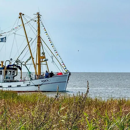 דירה Lilli Marleen 5-06 וורמן