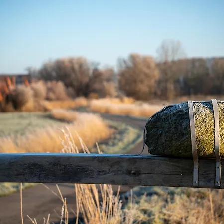 Lilli Marleen 5-06 *