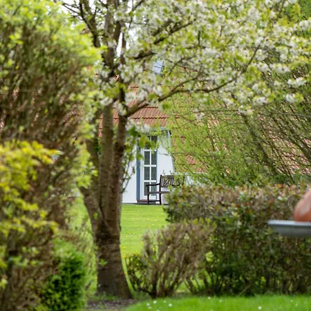 Lilli Marleen 5-06 *