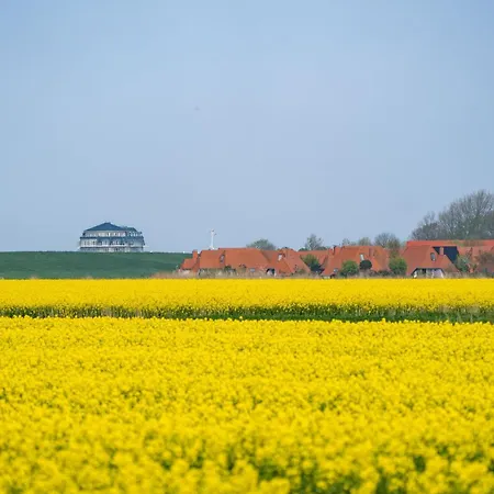 דירה Lilli Marleen 5-06 *
